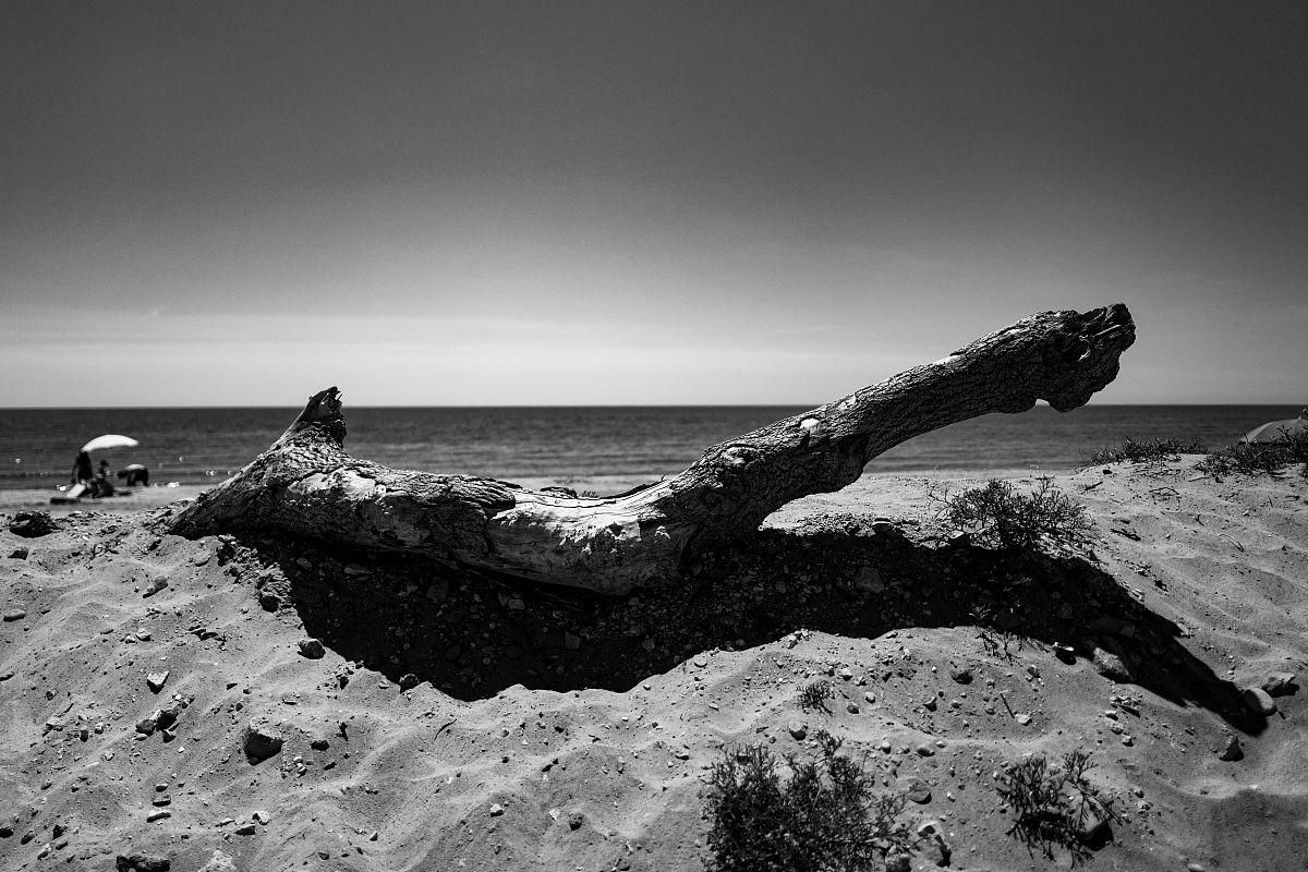 百慕大的神秘现象有哪些