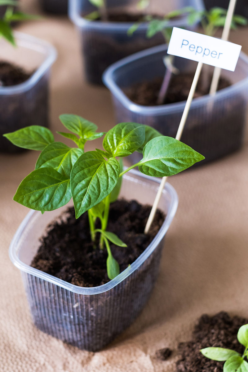 绍兴园艺学校是公办还是民办