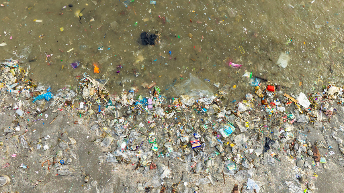 一次性用品：方便与环保之间的抉择