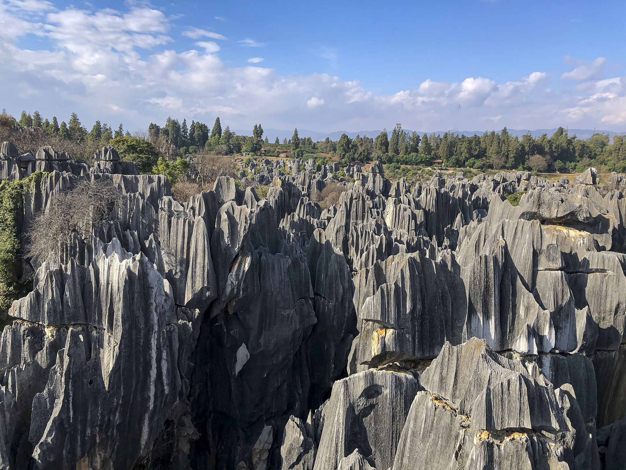 云南四月旅游攻略：赏花观景，感受春光