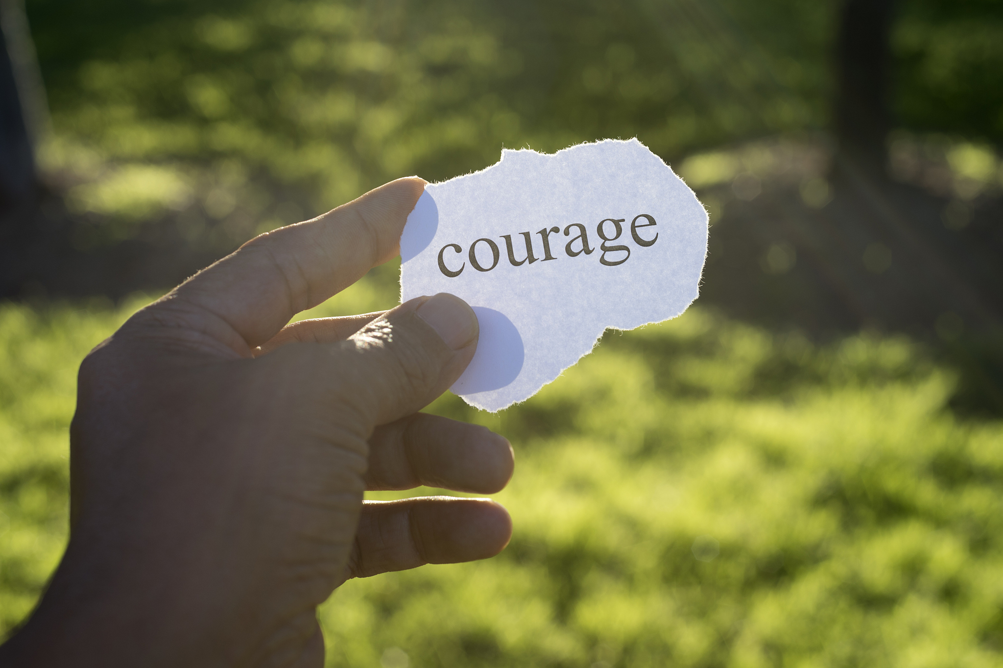 写个主题为雷霆出击的开场和小结