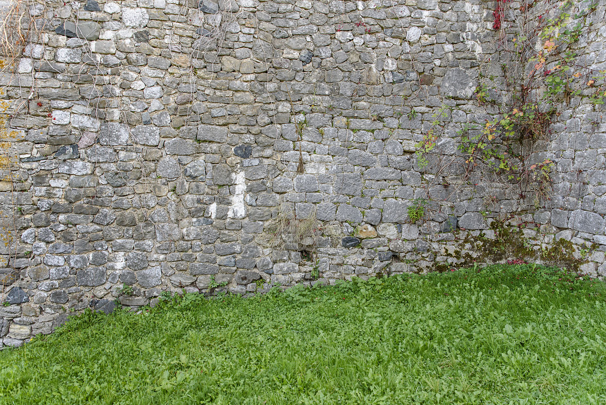 天津商业大学食品质量与安全专业怎么样