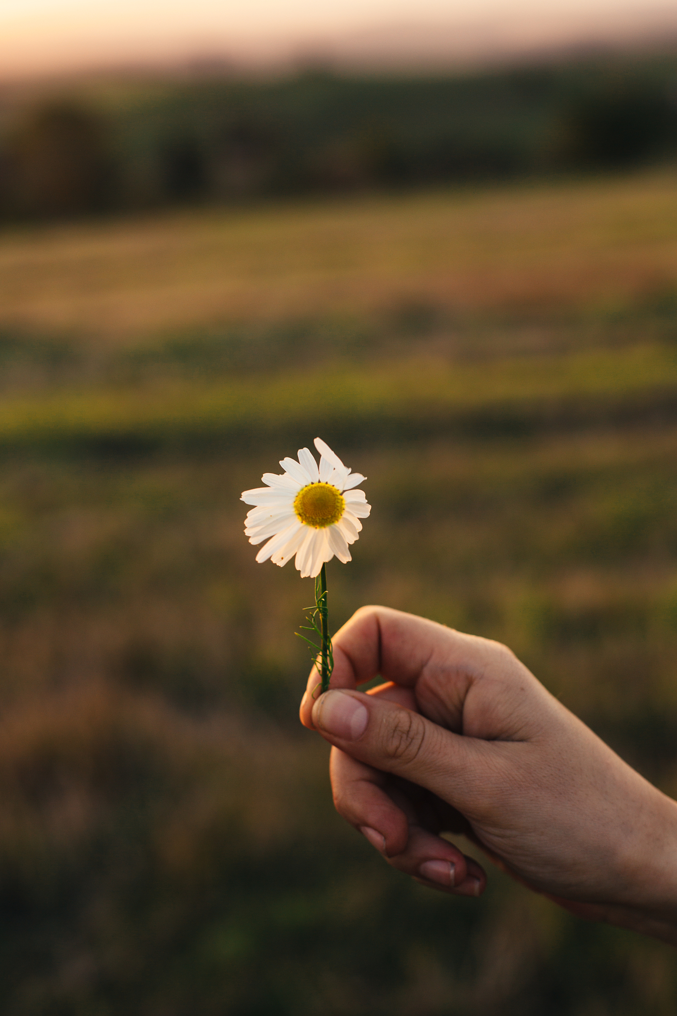 品味遗憾：从失落中汲取成长和力量