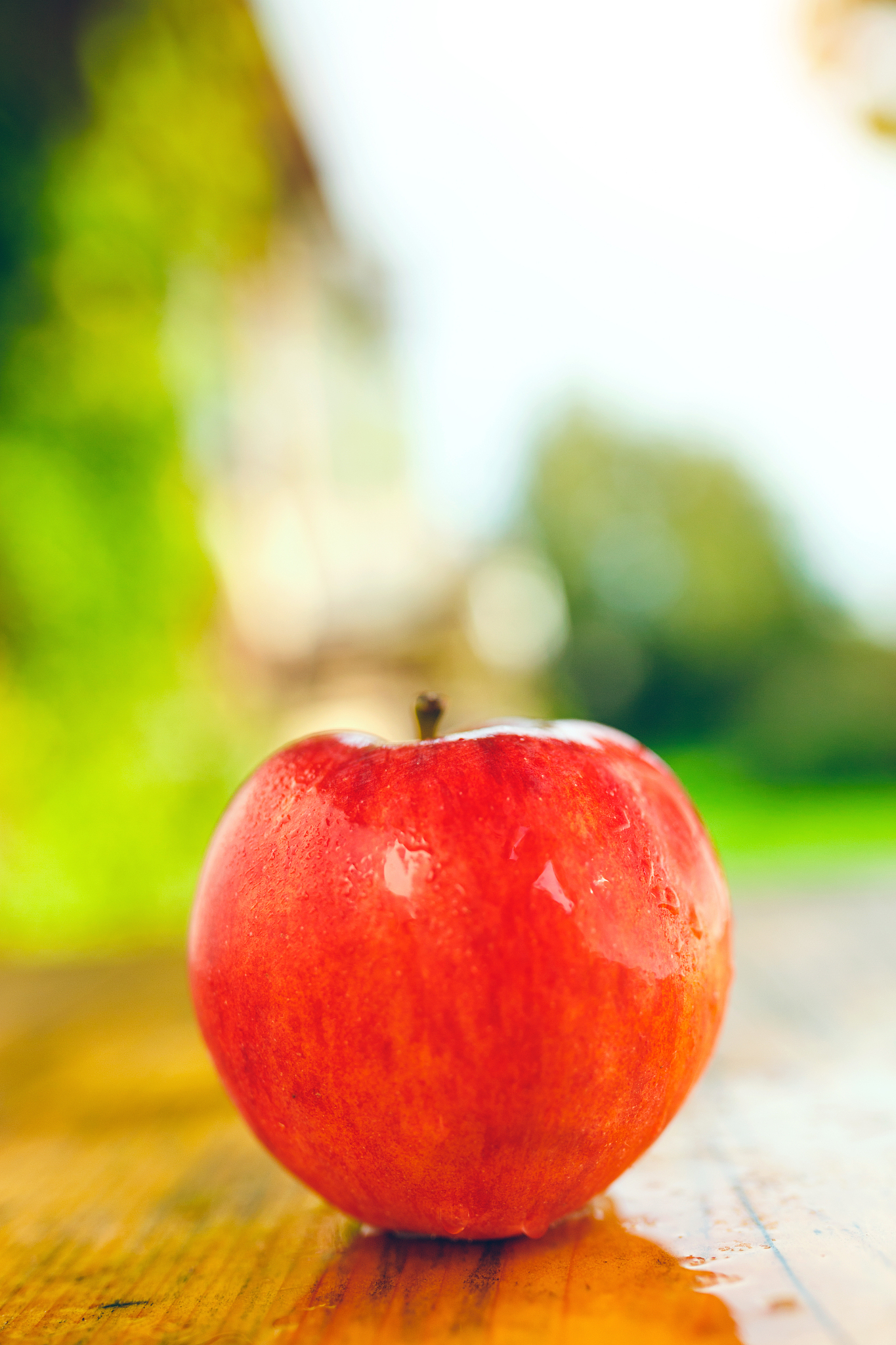 fresh red apple