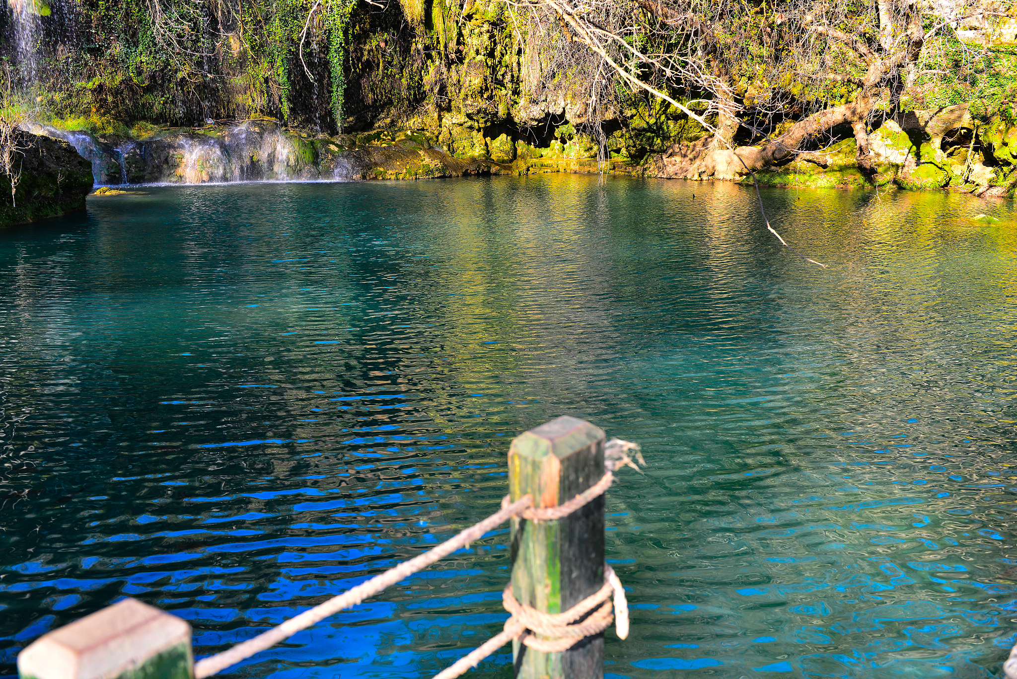 lake in the forest