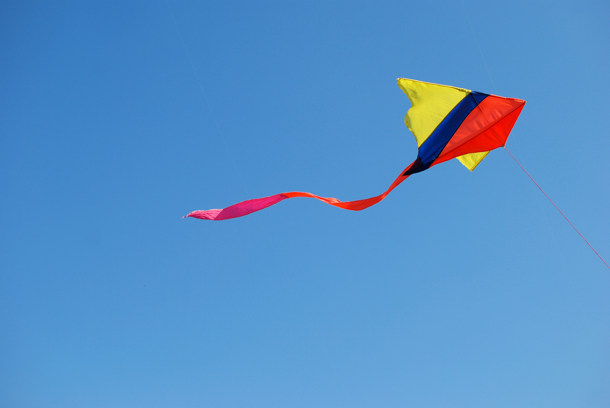 kite flying in the wind