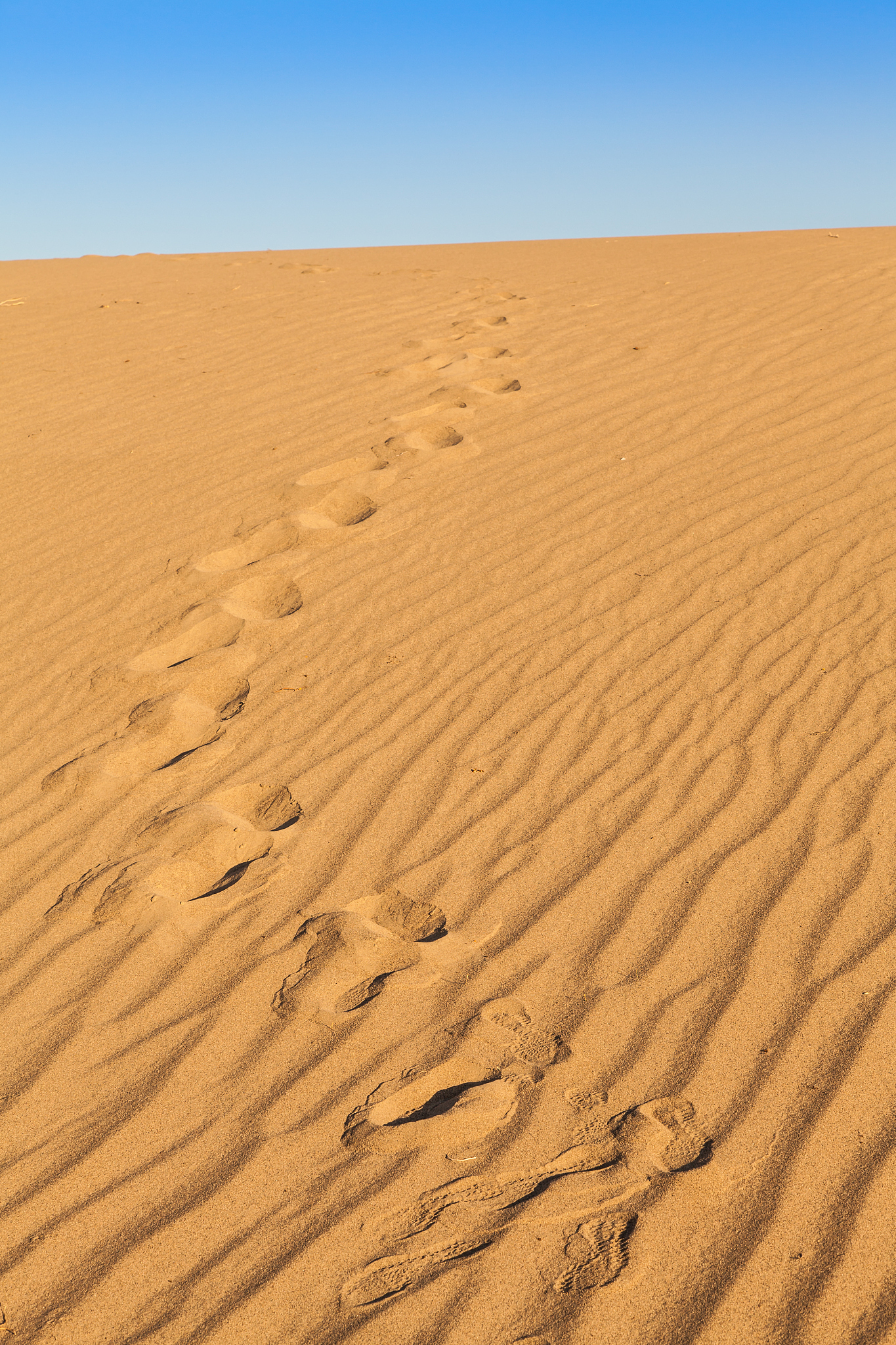 death valley desert