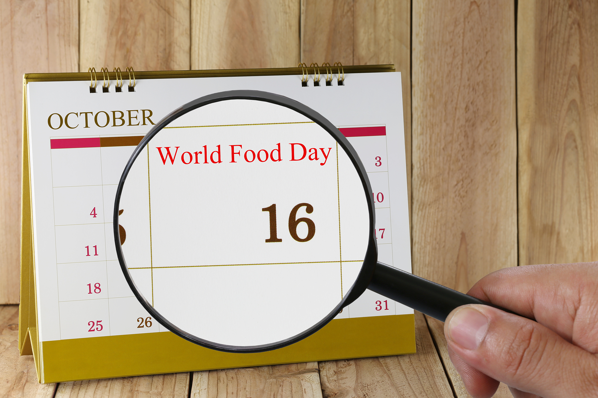 calendar you can look world food day on 16 october.