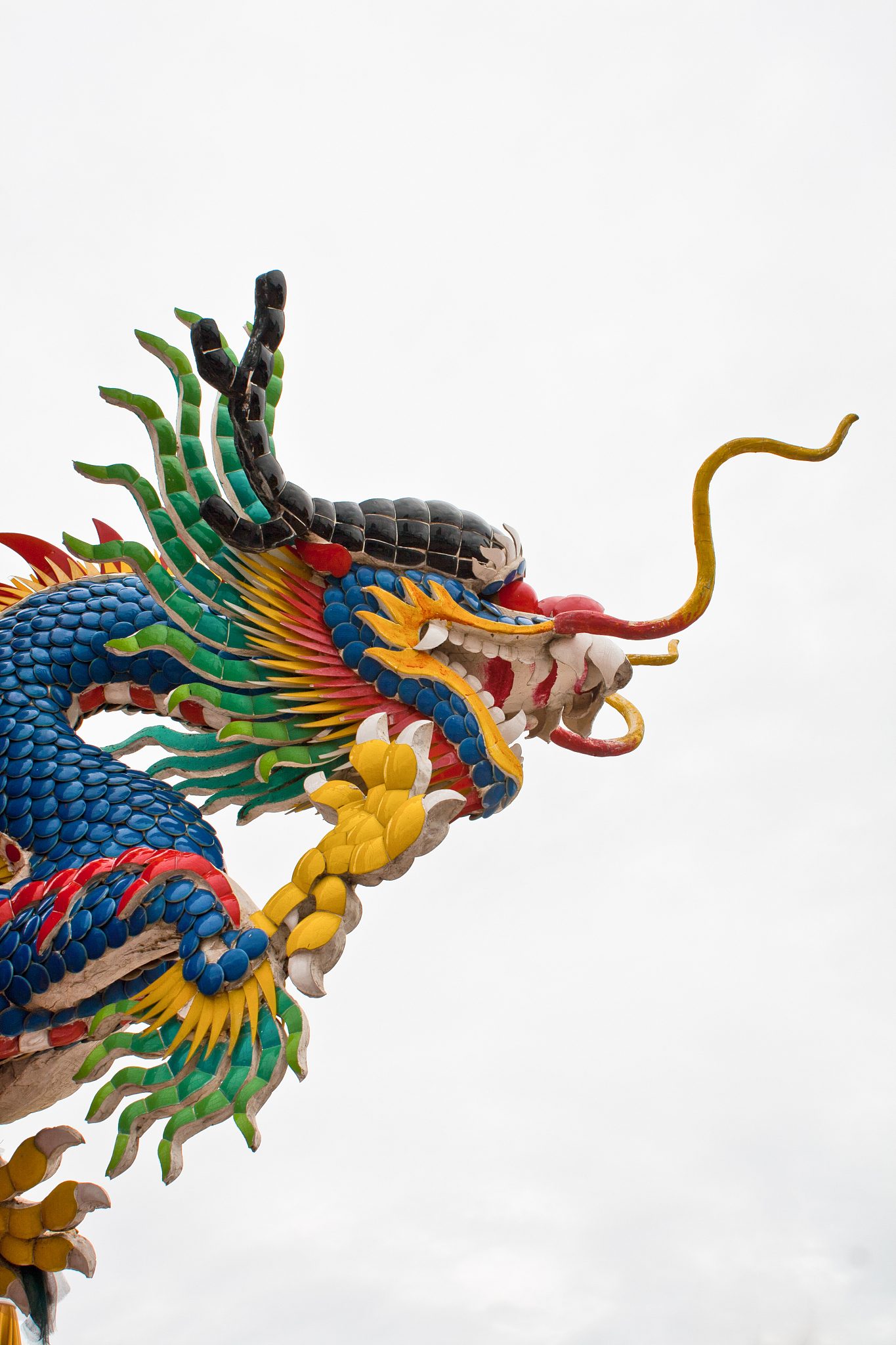 dragon