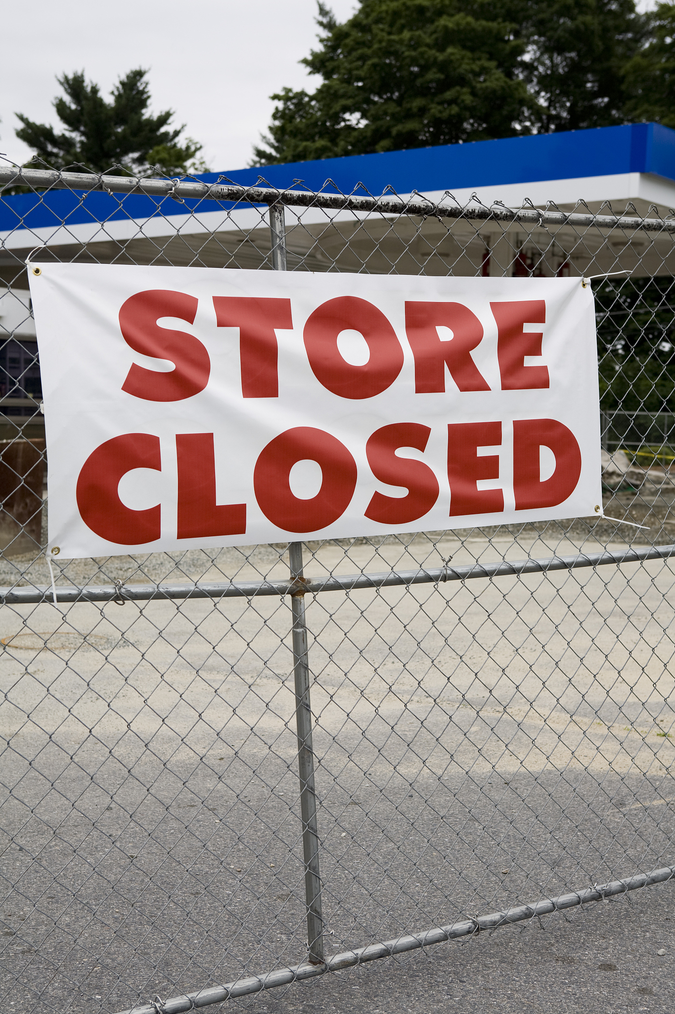 Starting Over in a New Place: Reflections on Hong Kong and America