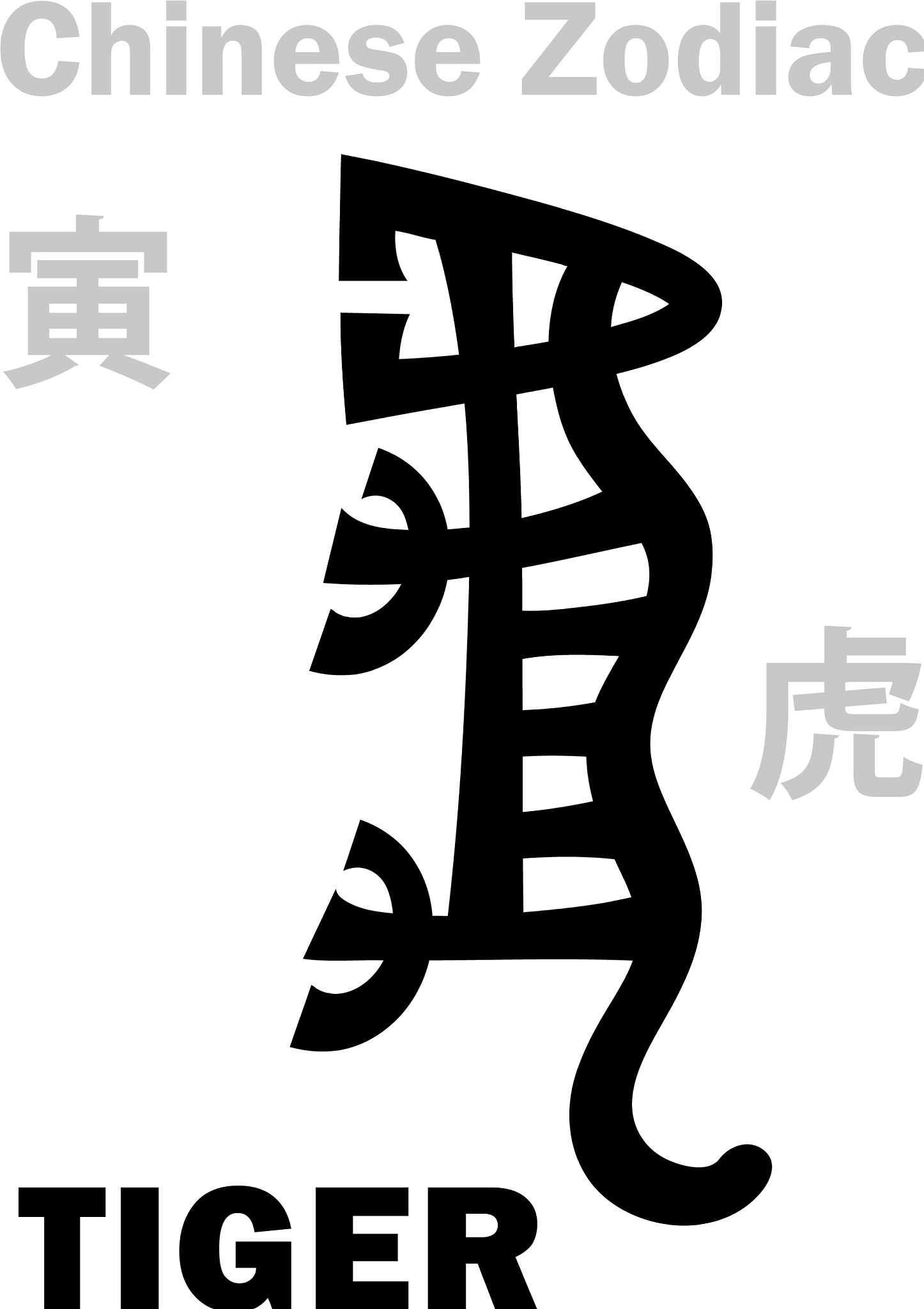 生肖虎：勇敢、自信、充满力量的化身