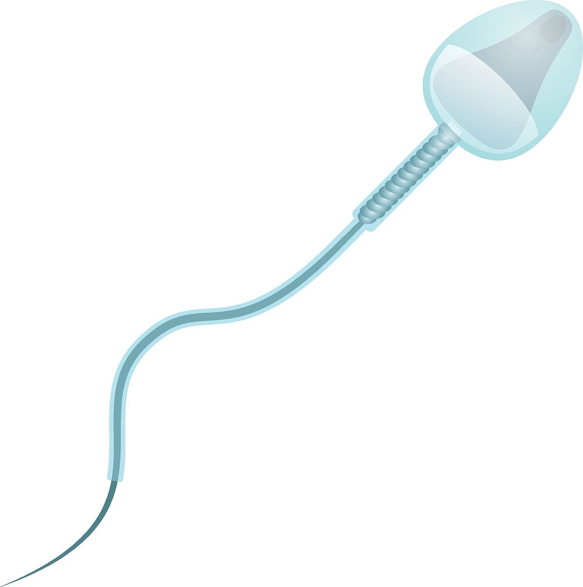 35岁男性精子活跃度低？如何改善？