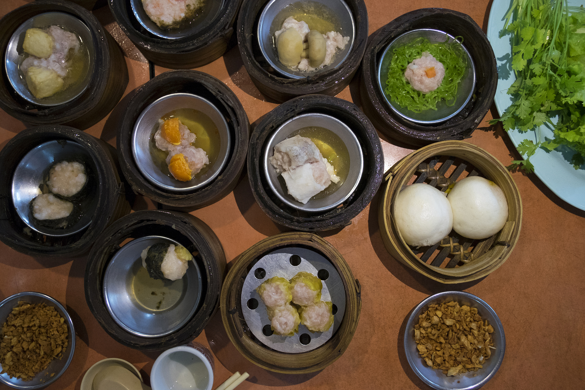 写一篇徜徉在古色古香的水乡——苏州旅游指南