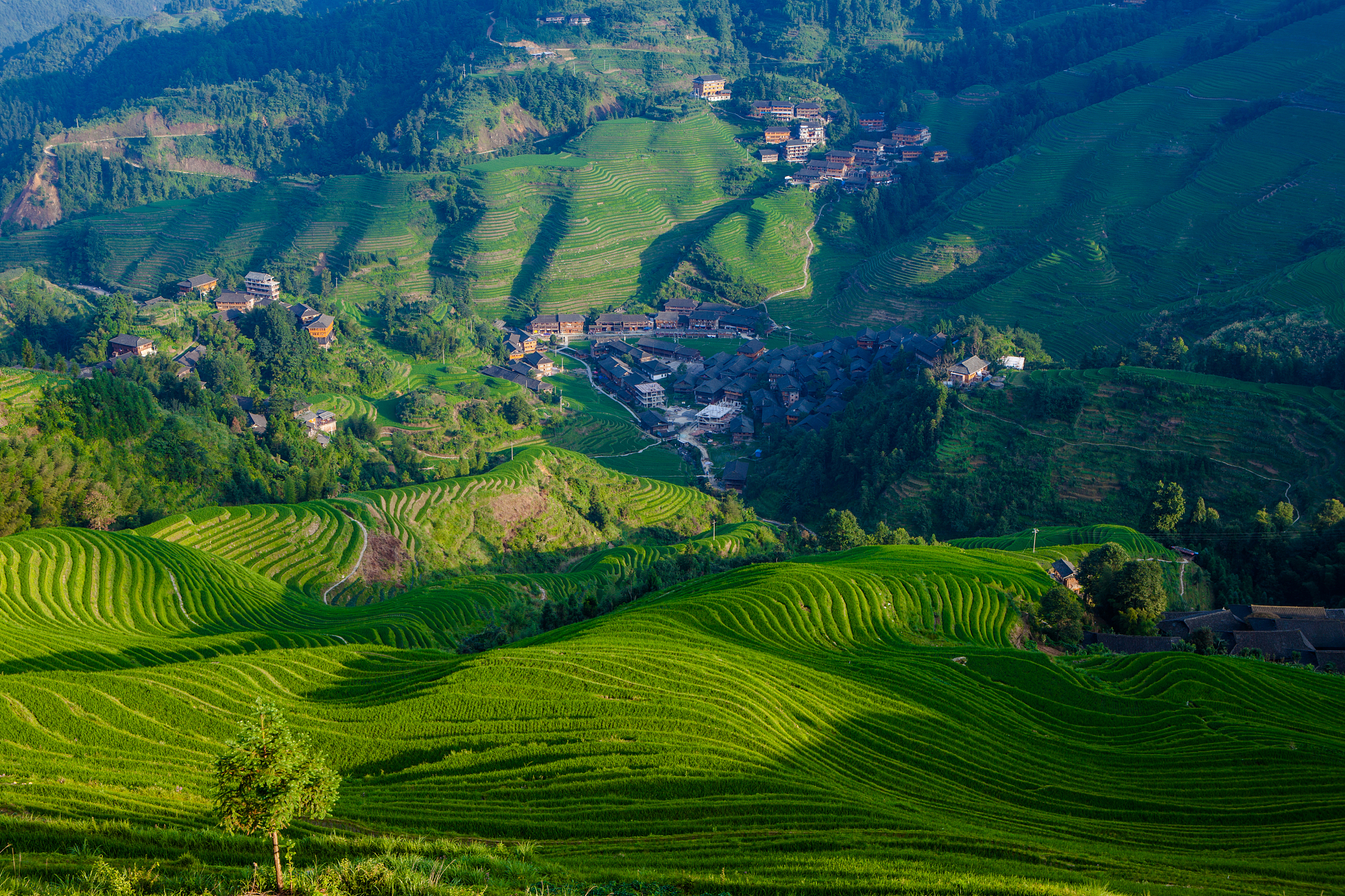 广西生态工程职业技术学院中草药栽培技术专业涉及哪些课程