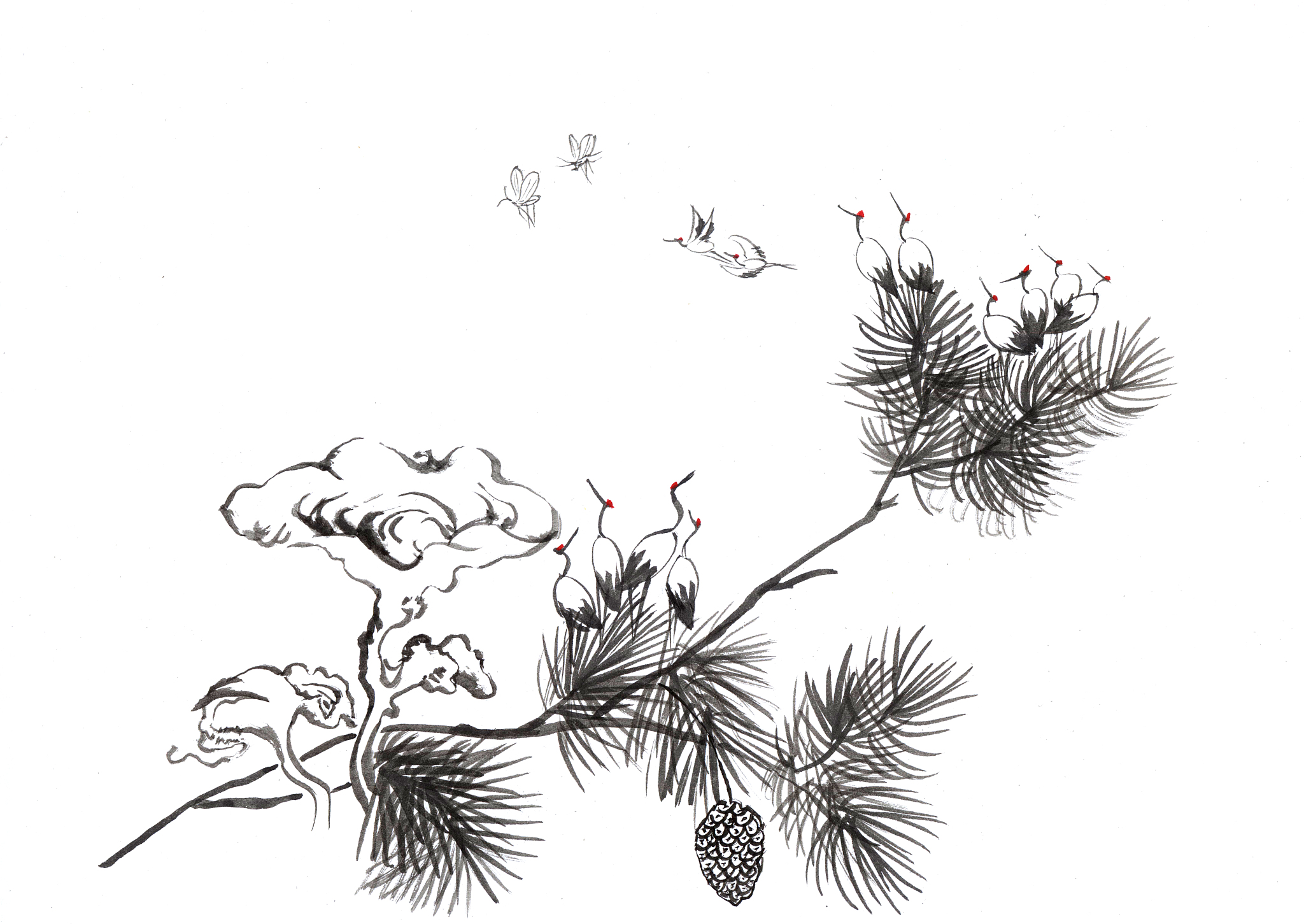 白描是什么意思？简单易懂的解释
