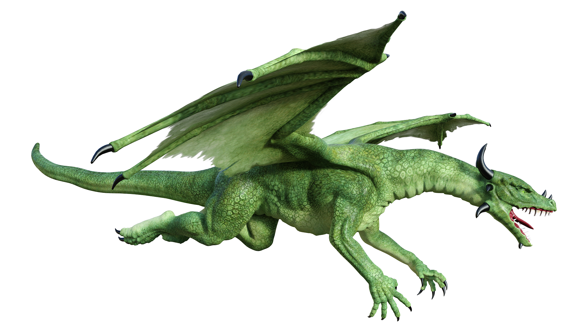 3d illustration fantasy dragon on white