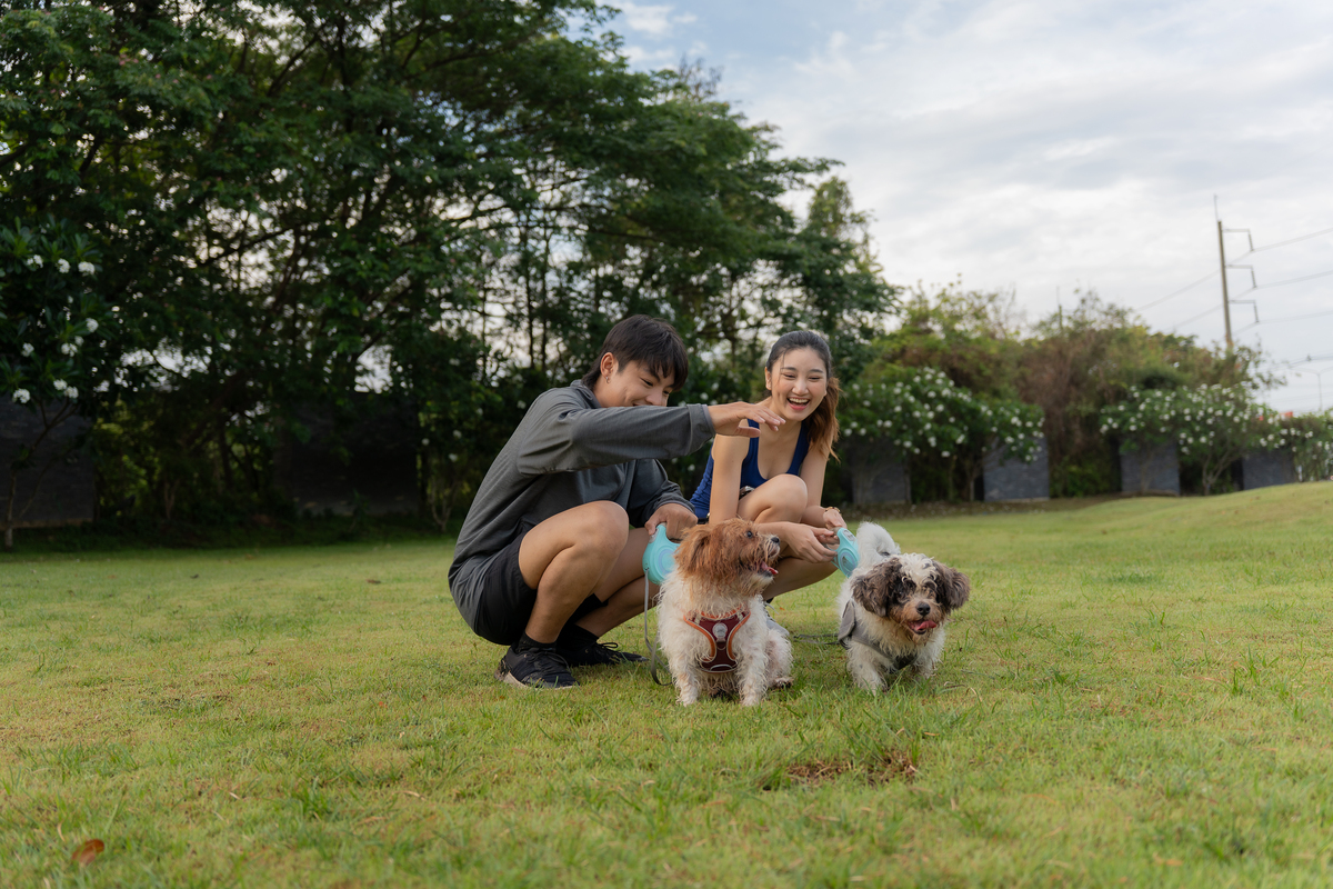 如何拍出快乐的照片：与狗狗的阳光草地合影