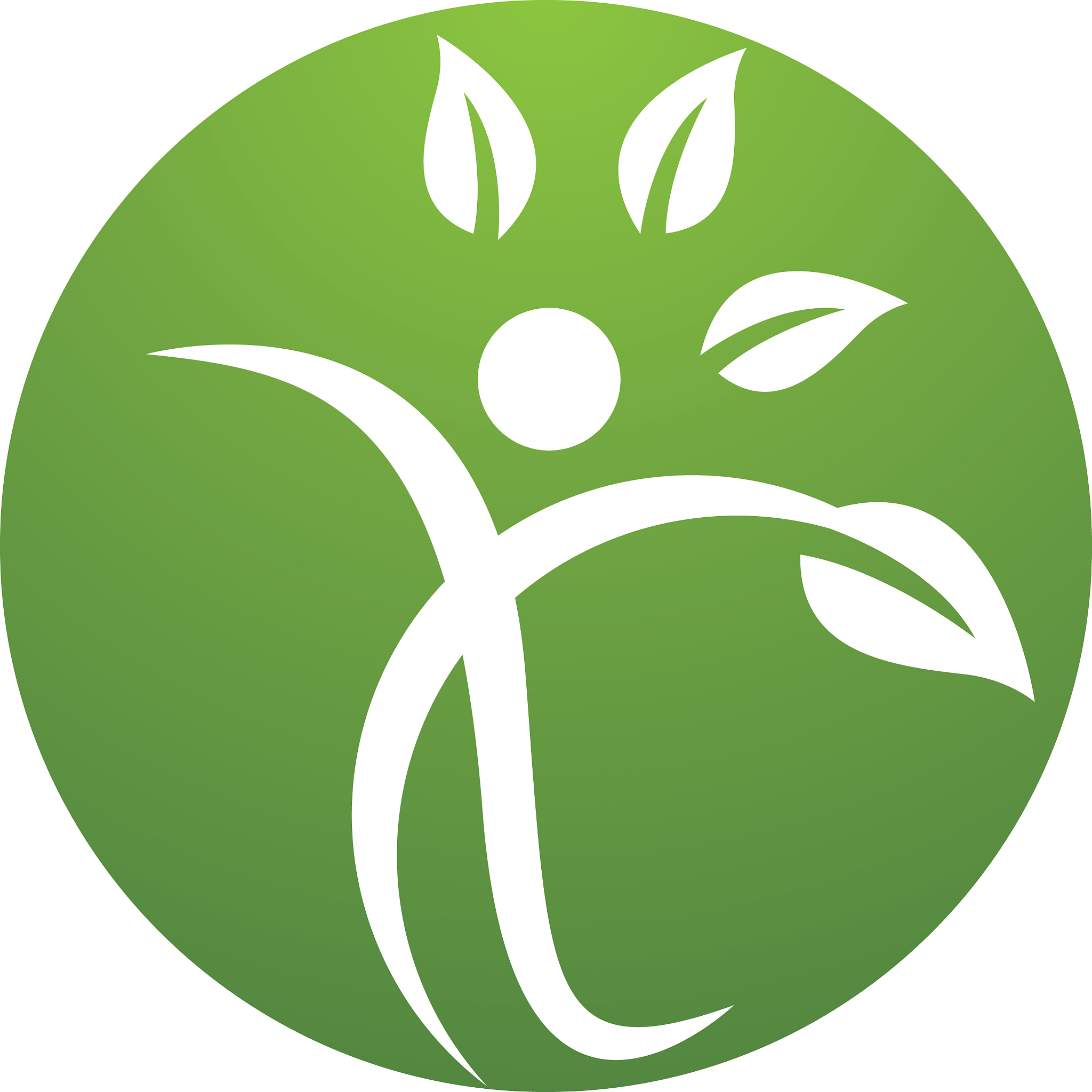 health icon design