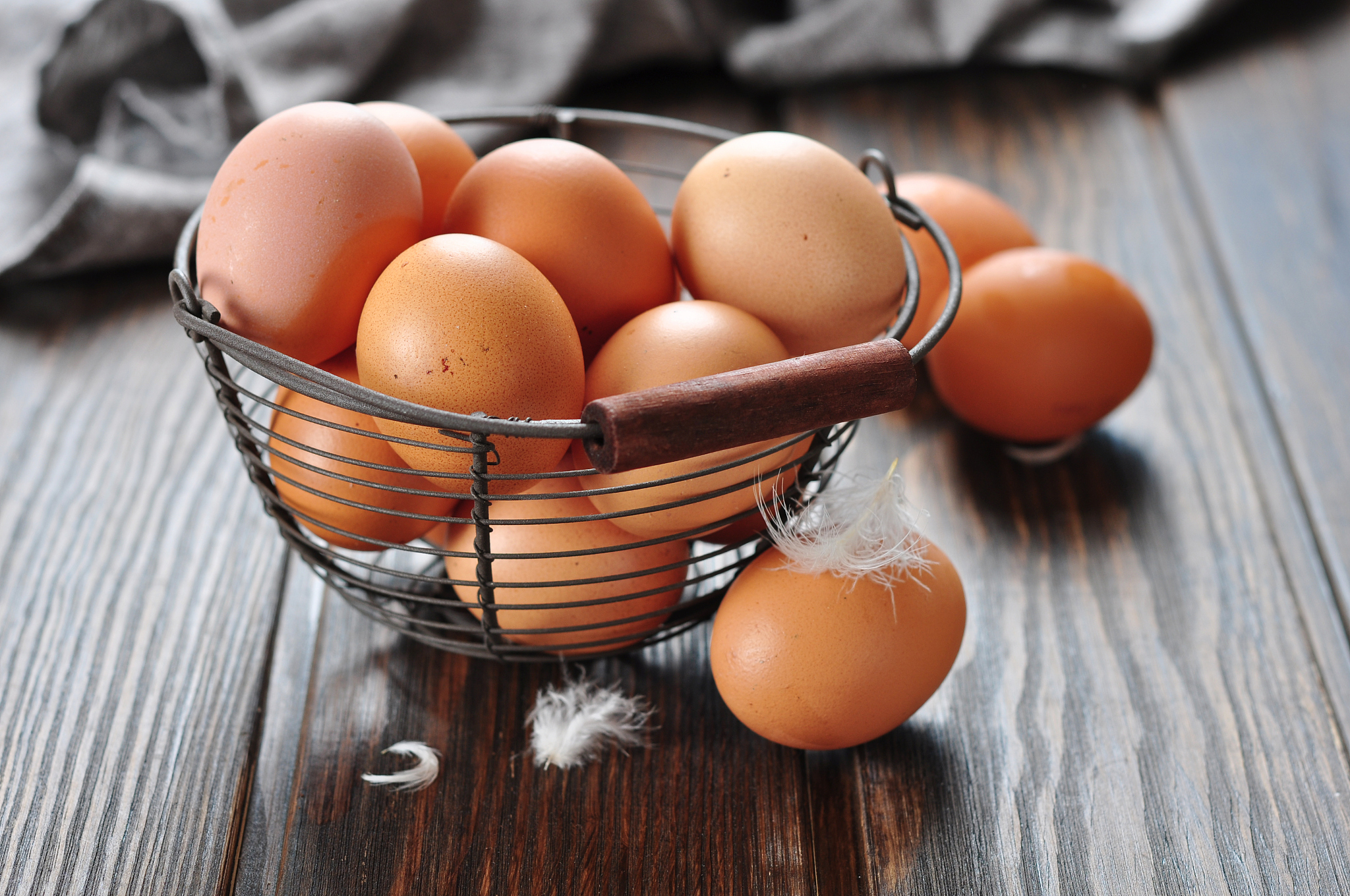 fresh eggs