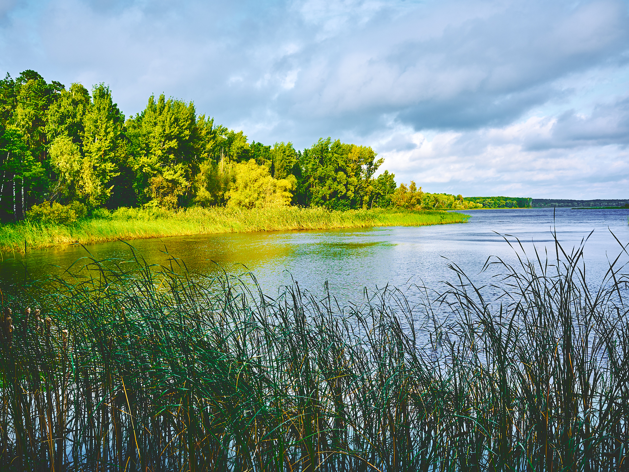 湖边摄影环境优美清风徐来湖面波光粼粼一千字的文章