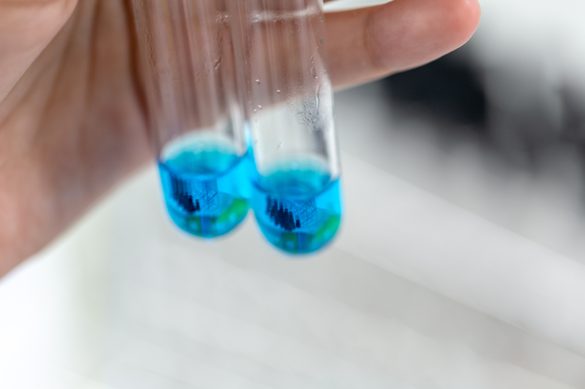 甘肃医学院专升本考试科目详解 - 考试内容及专业要求