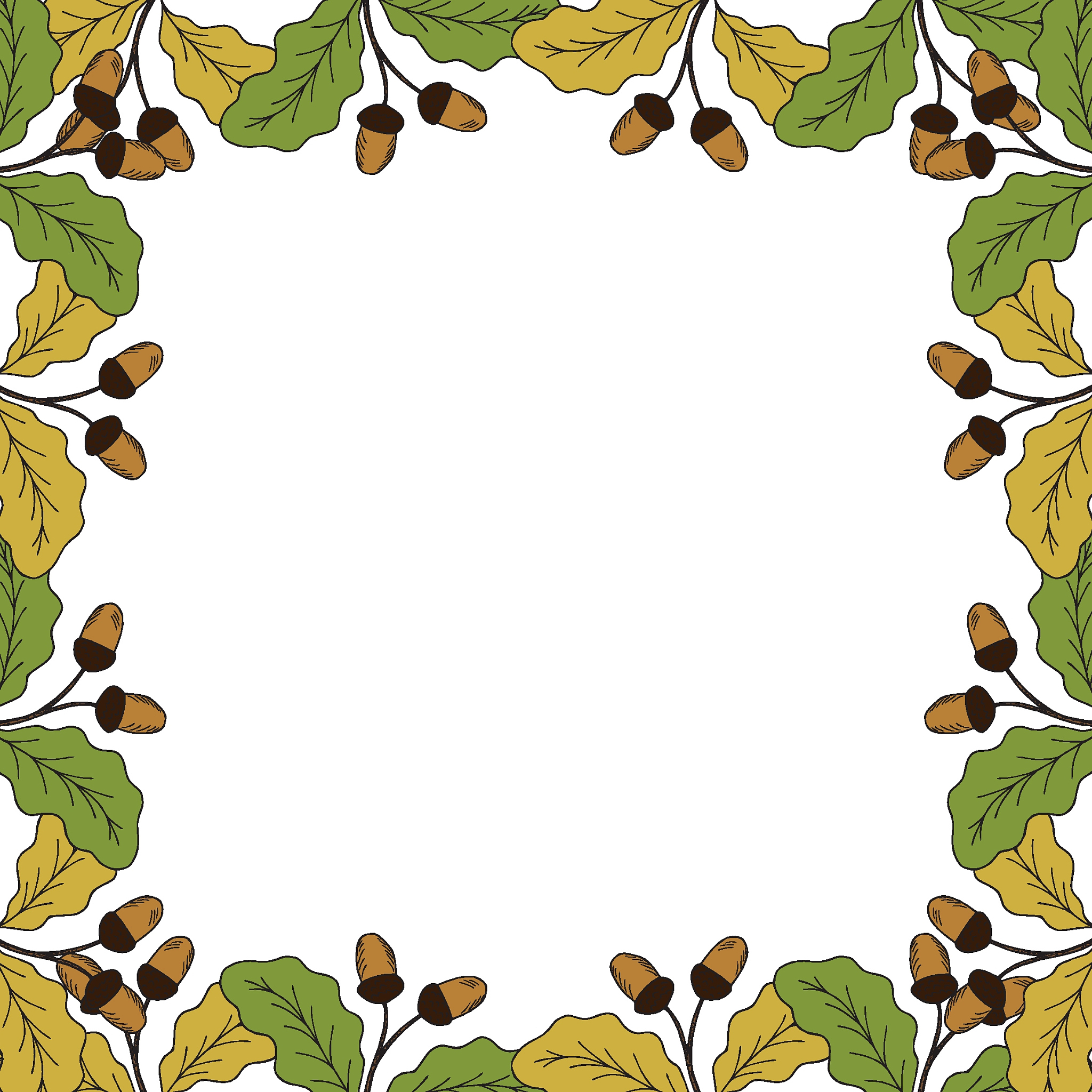 oak leaf and acorn in color, liner, border