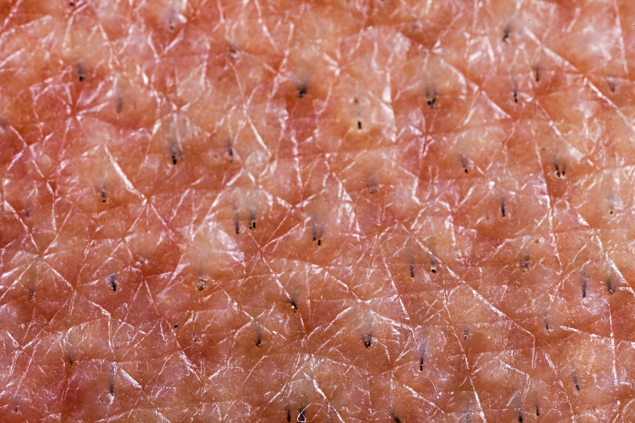 interesting textures