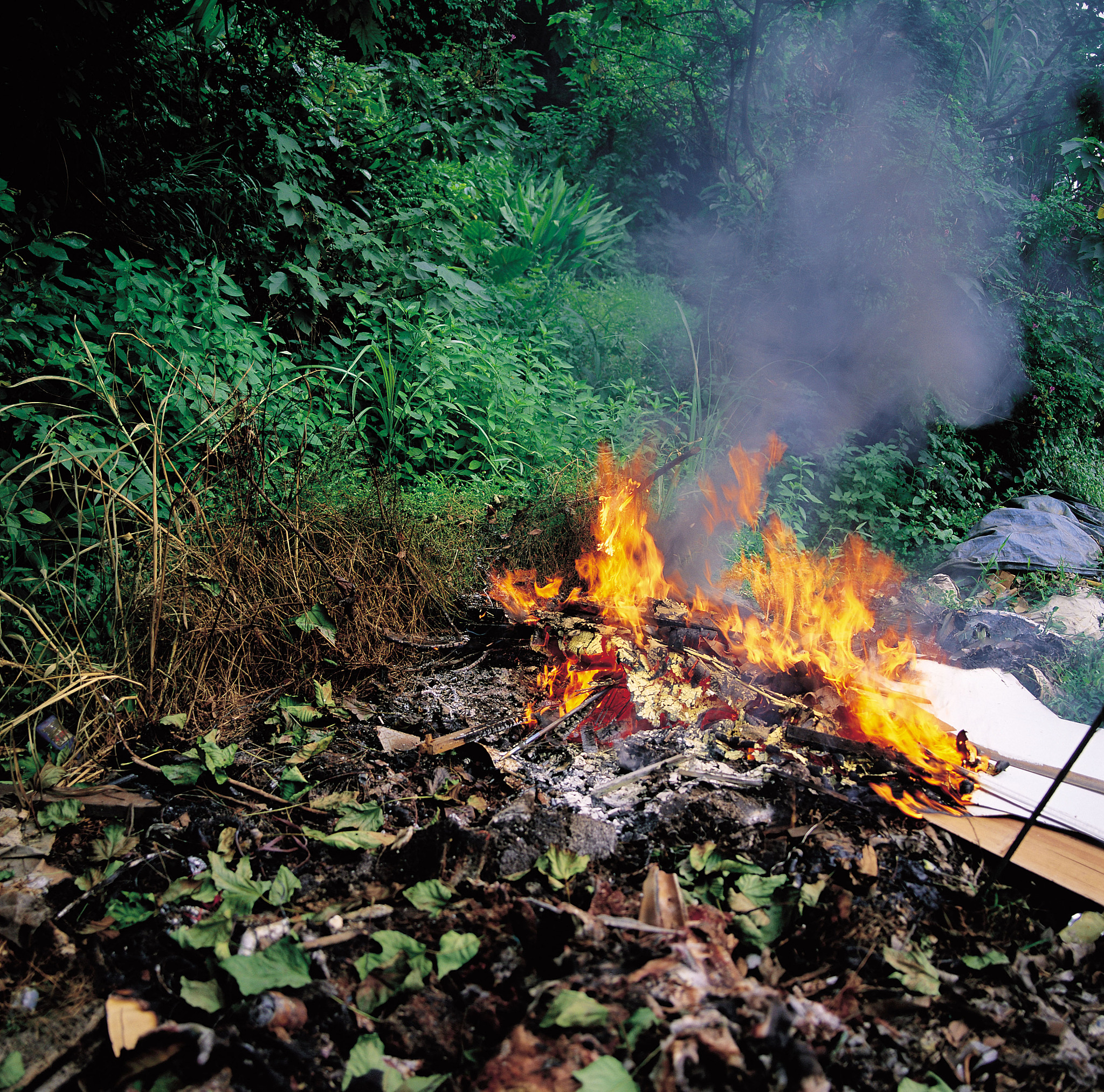 煤自燃出现乙烷 (C2H6) 的原因和意义