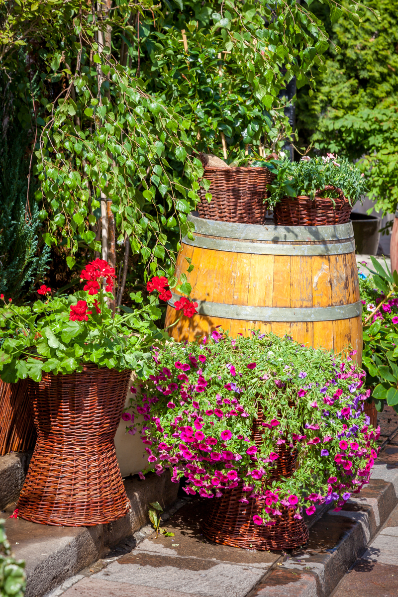 有个花园露台养花赏景