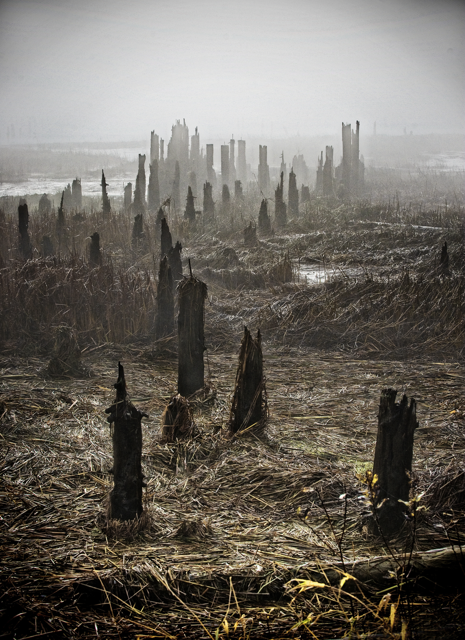 世界面临的最大问题是什么？