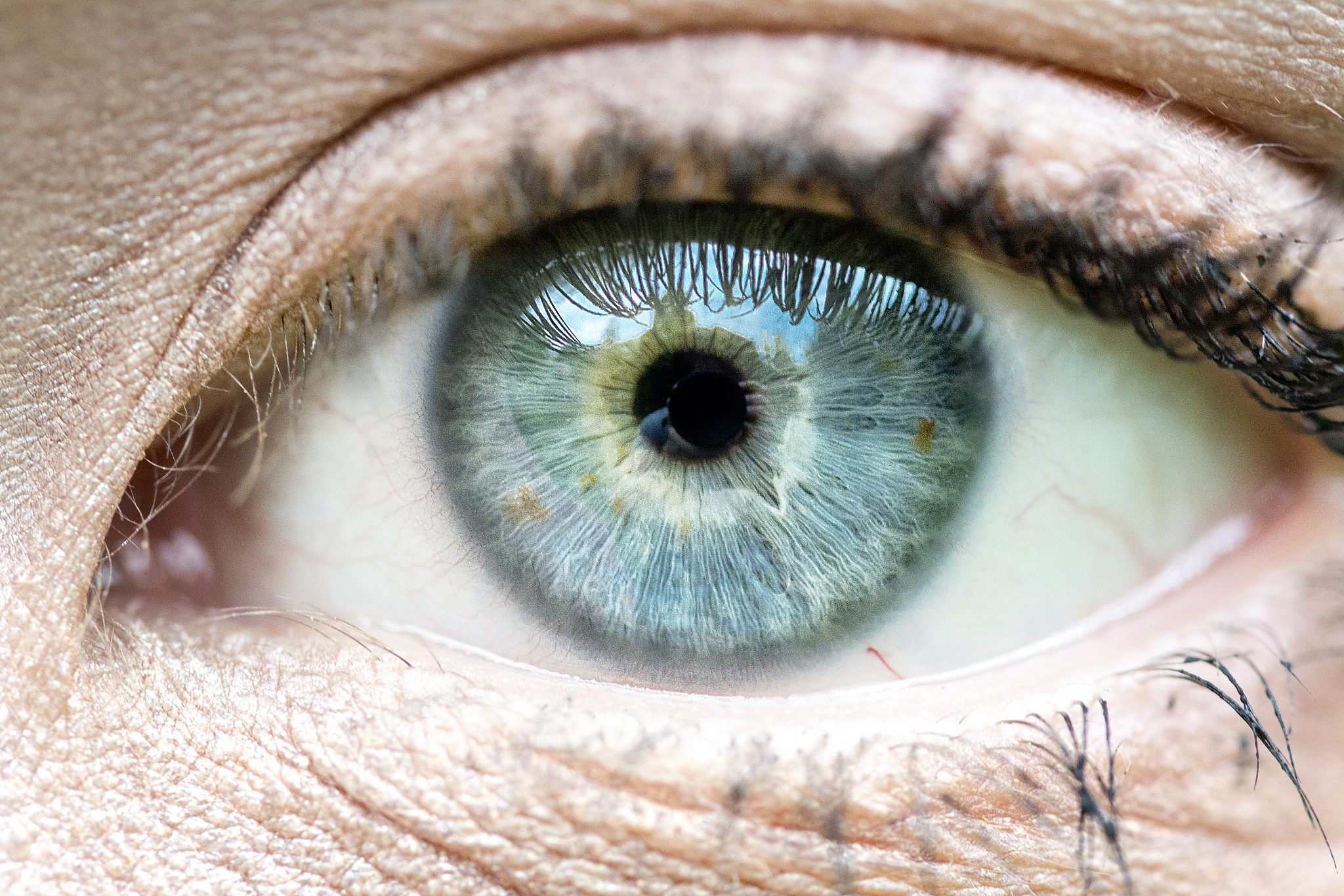 close-up of human eye