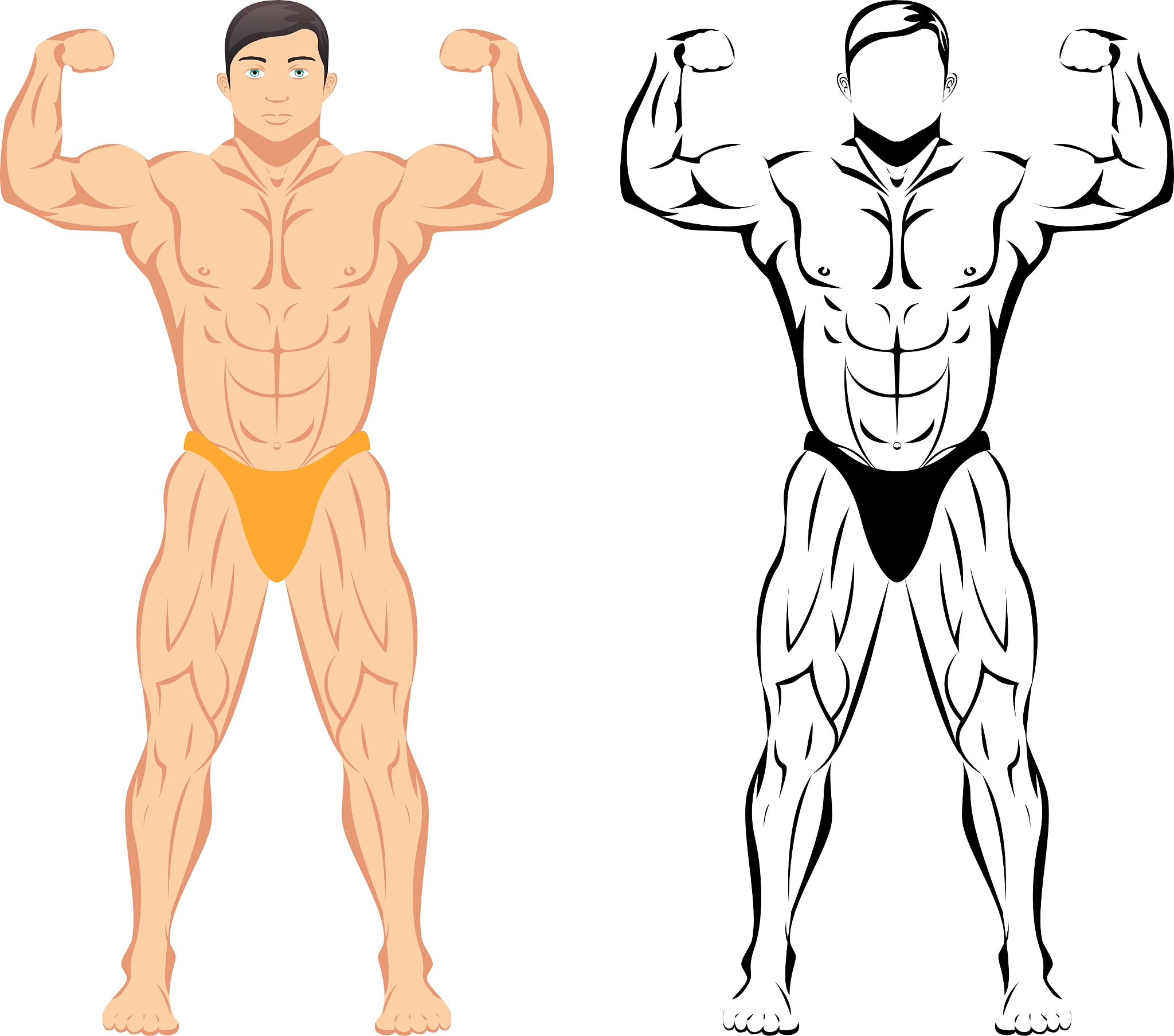 2个月快速练出腹肌：高效计划，助你拥有完美腹肌