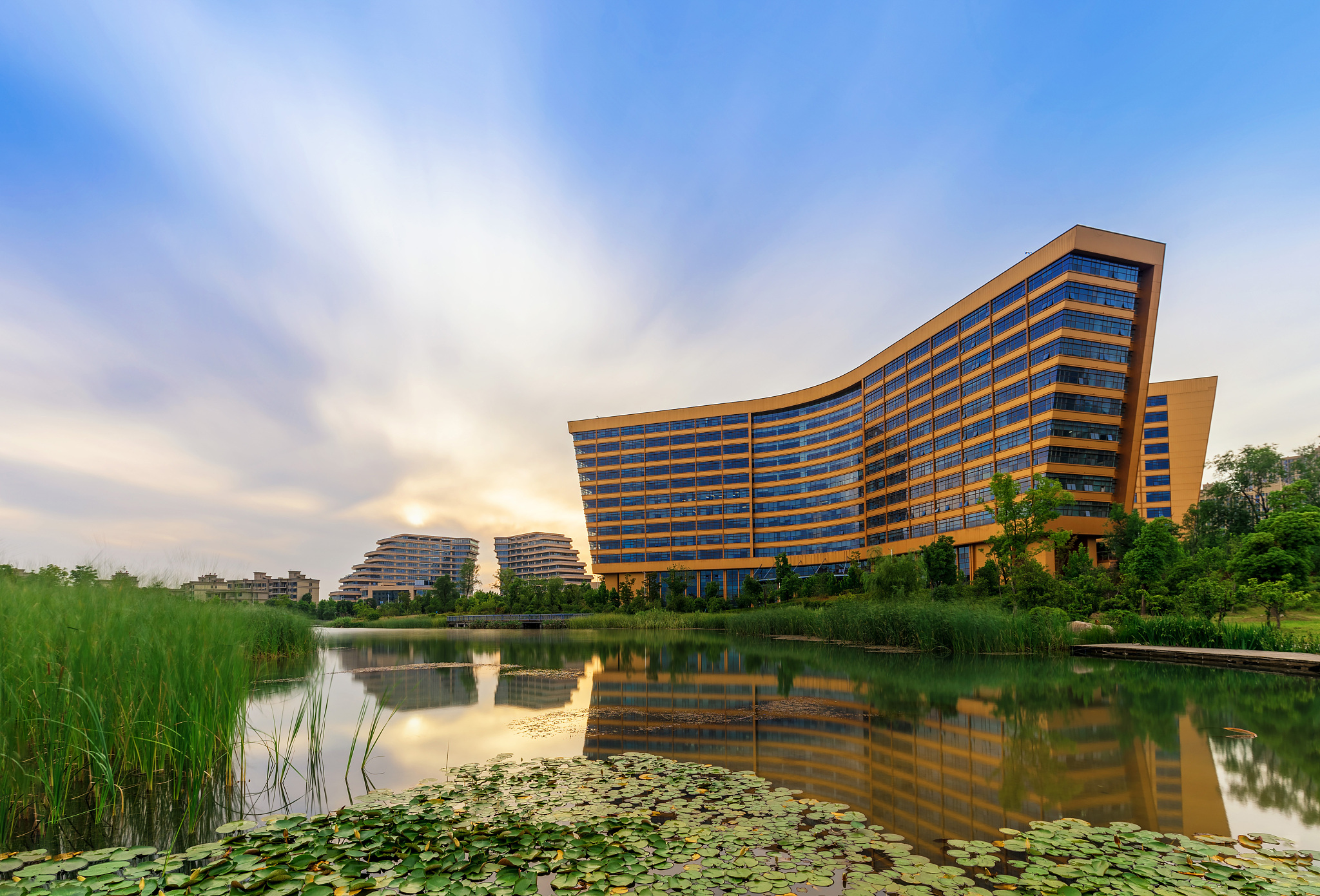 合肥市媒体求助热线。要求：写一篇500字左右的文章。