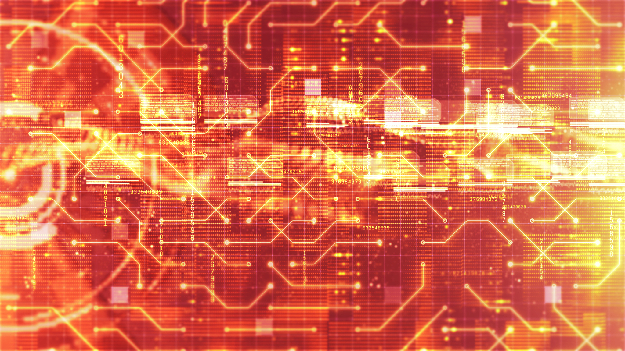 武汉轻工大学医学技术与护理学院2022年录取分数线预测