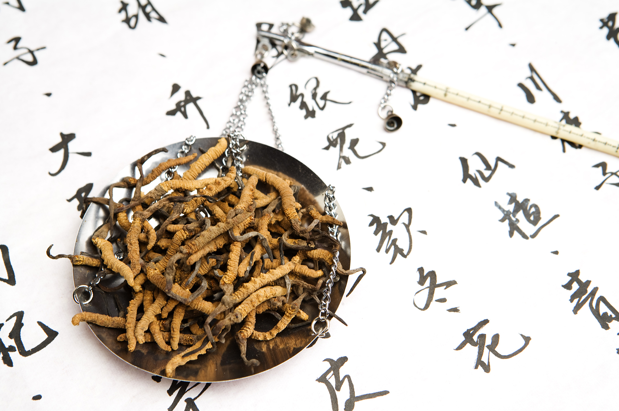 冬虫夏草是智商税吗？真相大揭秘！