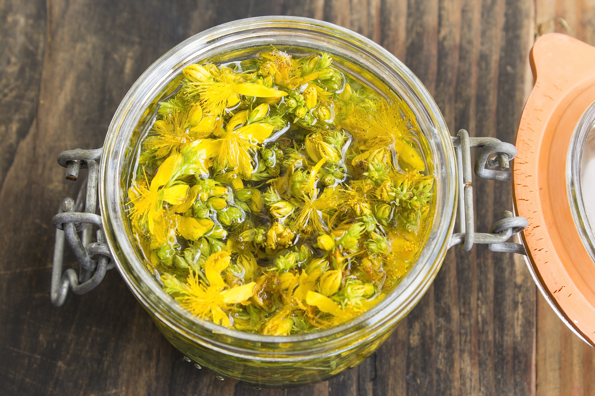 st. john's wort oil
