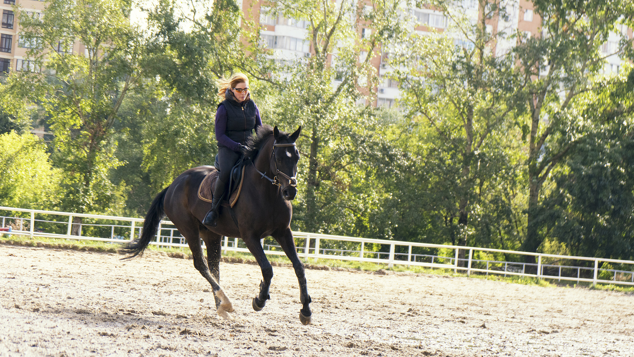 福建体育职业技术学院单招药剂专业怎么样？就业前景如何？