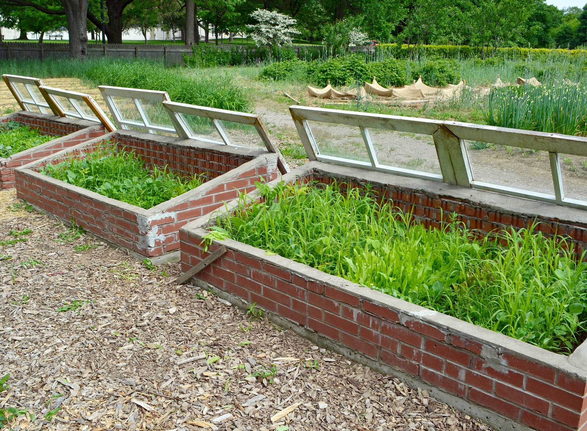 PLANTERS & RAISED BEDS 缩写成目录名
