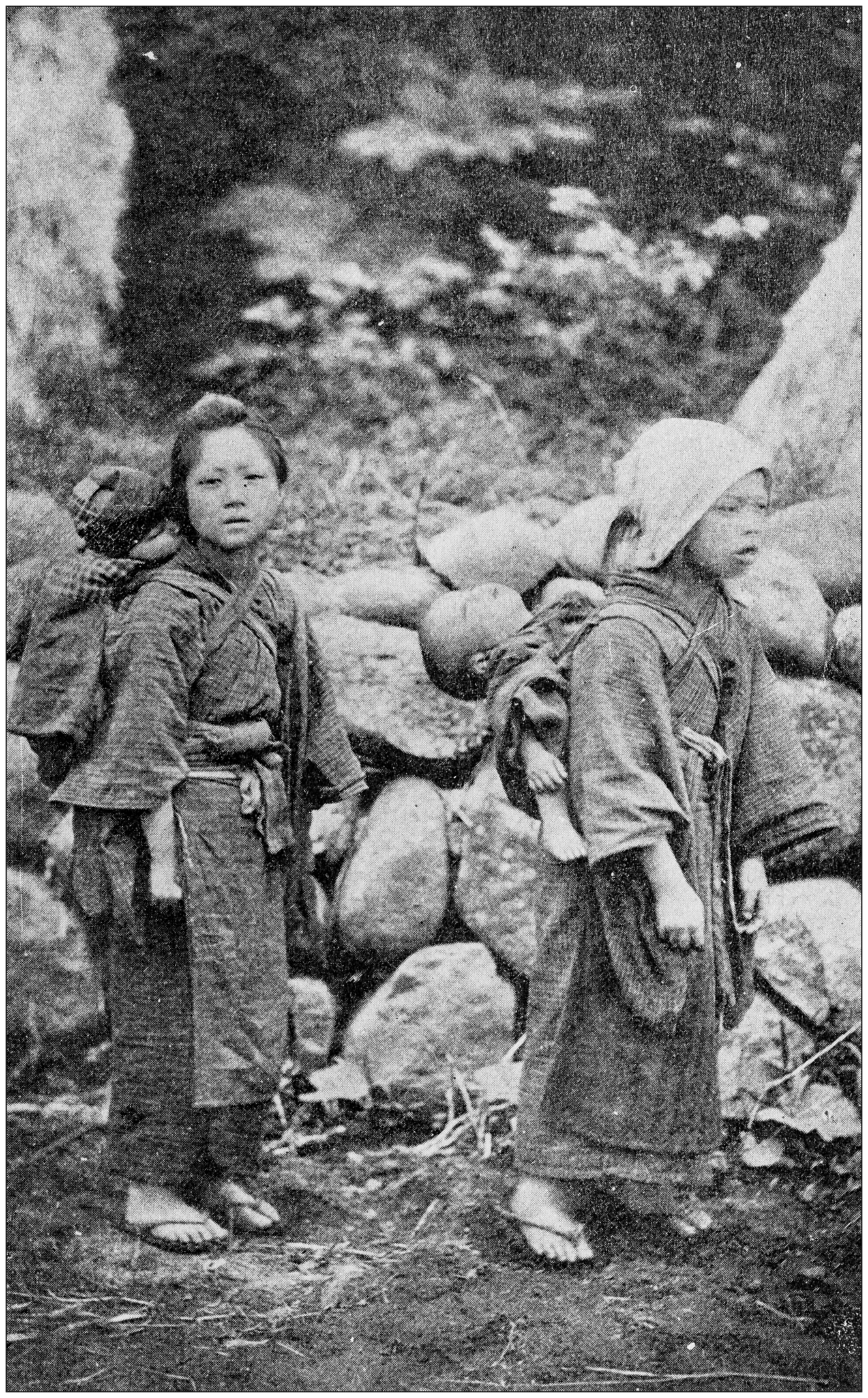 日本人的起源：揭秘民族形成之谜