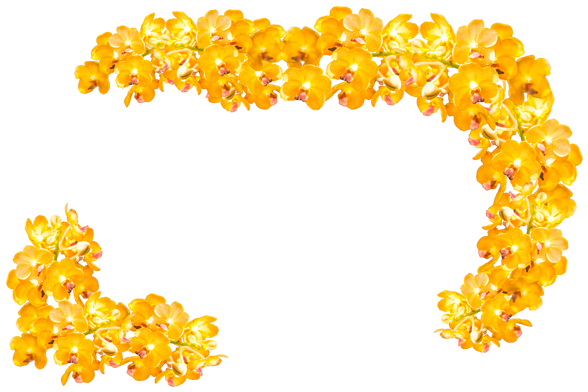 用PHP写一个访问这个接口httpsapisenlscnapiphptype=meinv把输出的链接存到tptxt这个文件