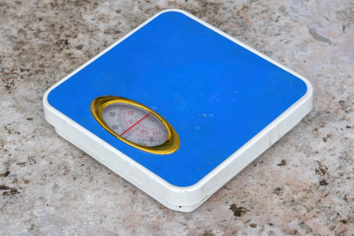 磅和斤的换算比例