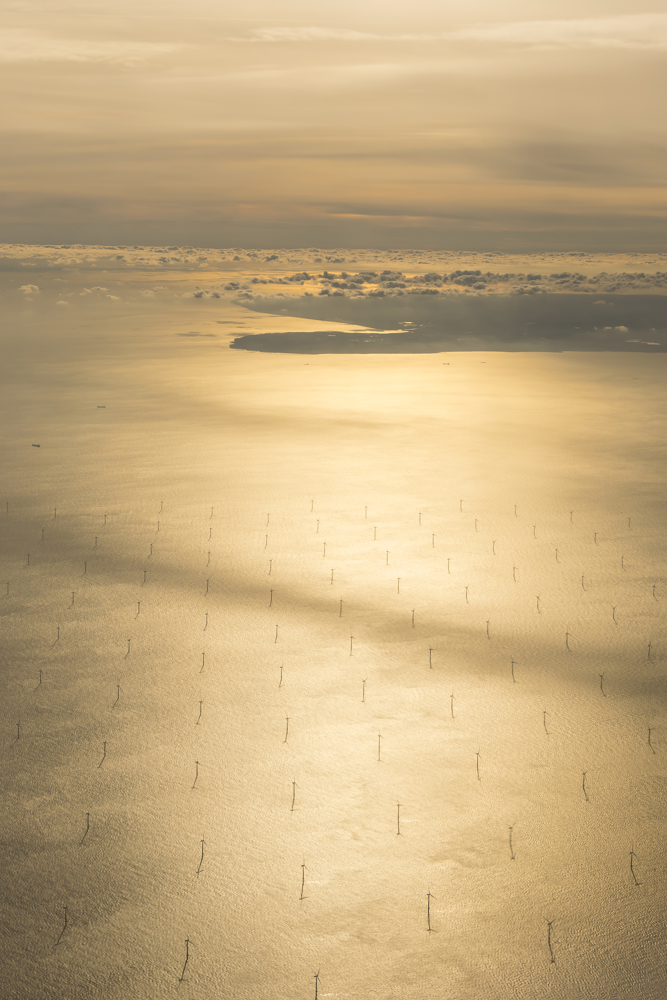 通风温跃层理论：海洋温度分布与生态影响