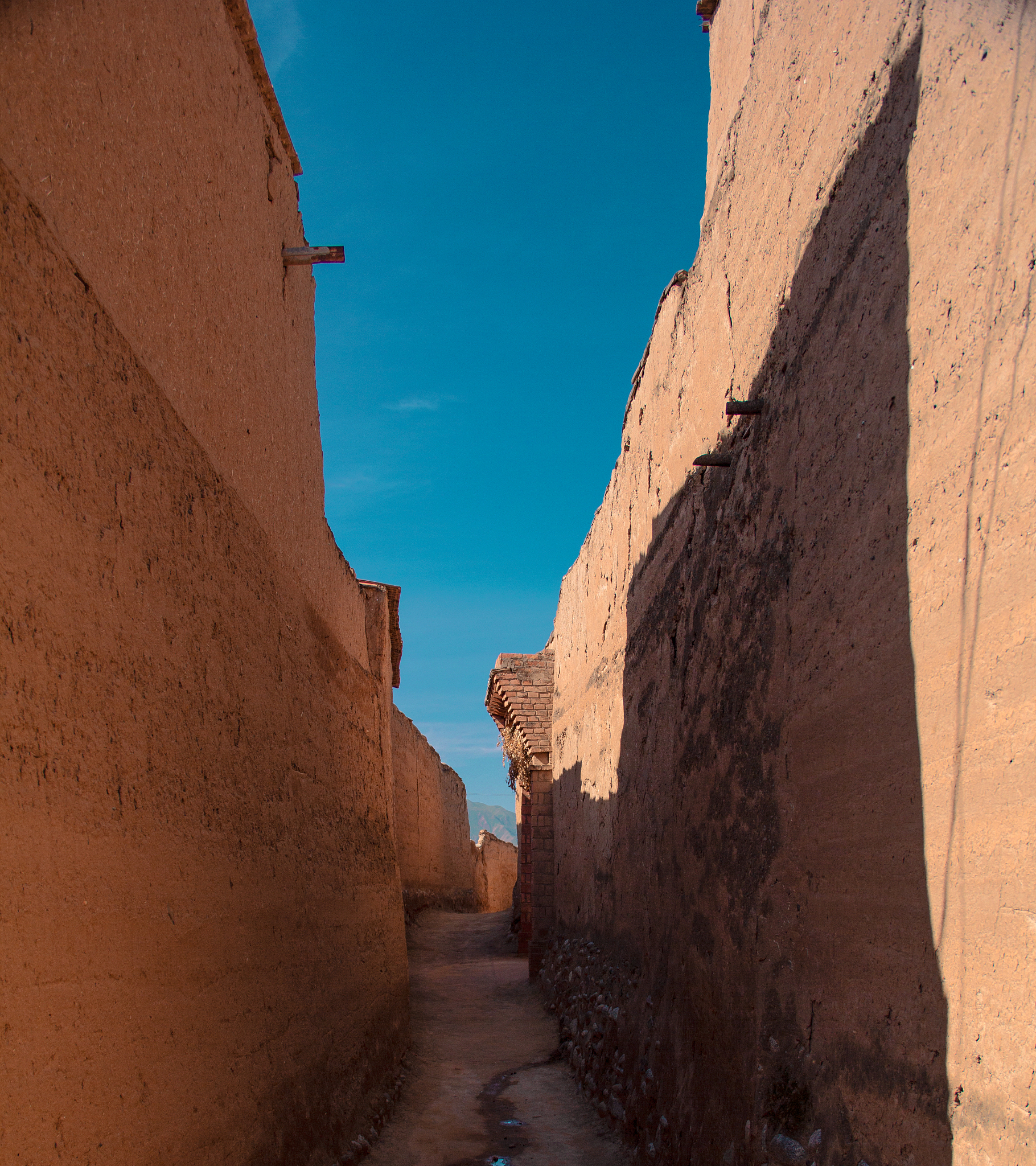 铜仁中专学校就业排名：哪所学校毕业更容易找到工作？