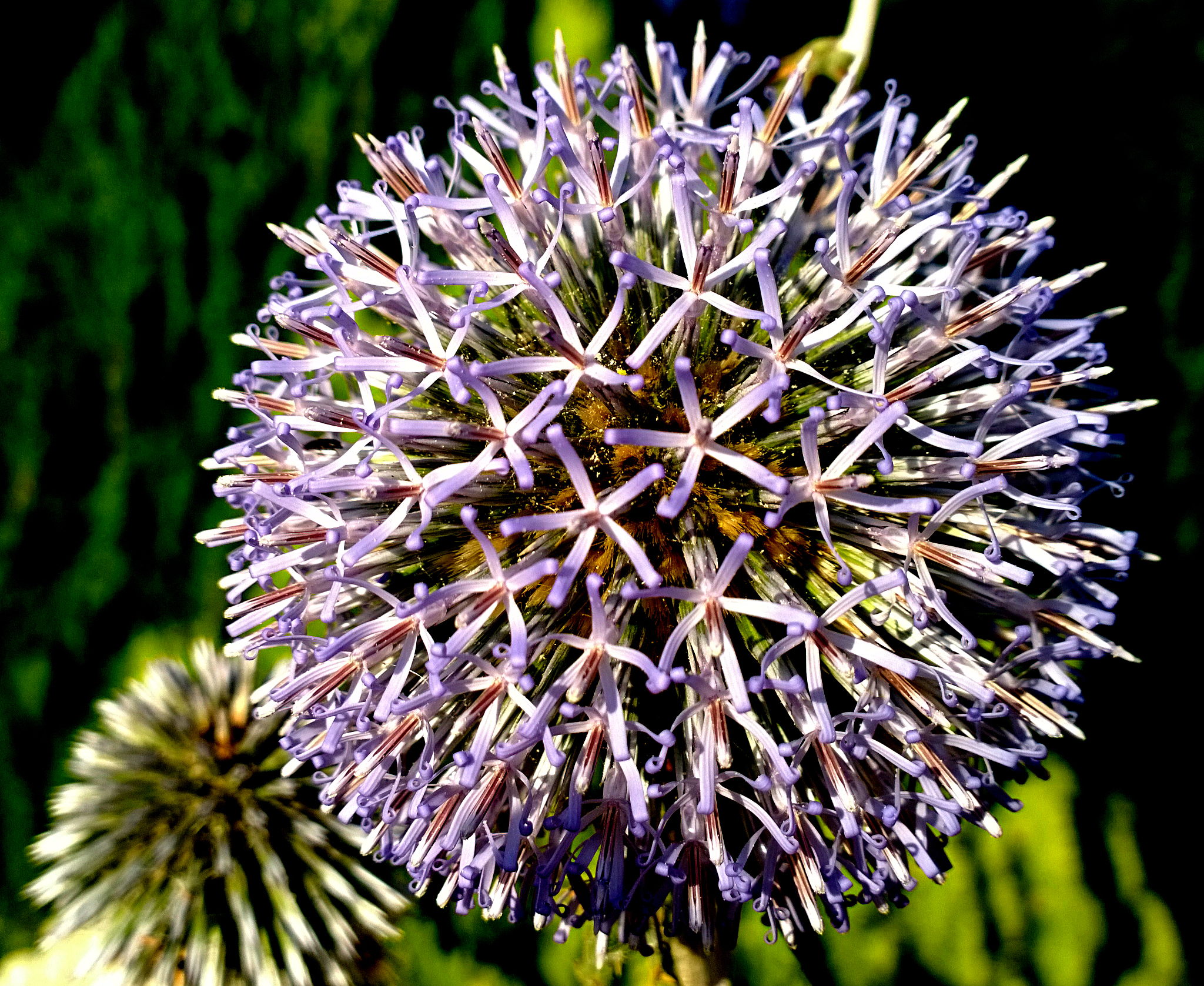 辽宁农业职业技术学院作物生产技术专业怎么样