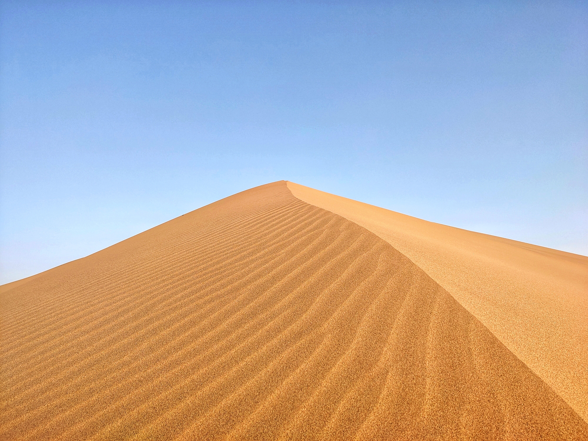 甘肃畜禽生产与疾病防治专业中专中职学校推荐