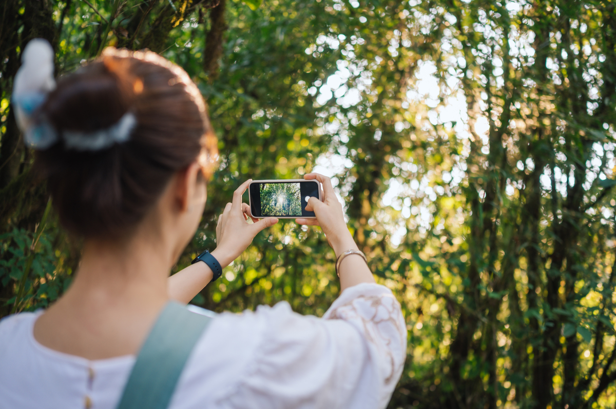 2023年森林生态旅游专业就业前景及发展方向