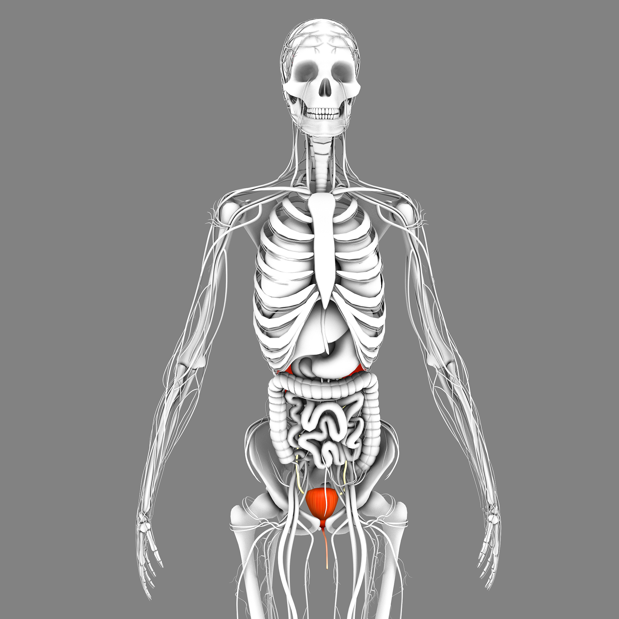 男性射精后尿液泡沫多，非蛋白尿，可能原因及治疗