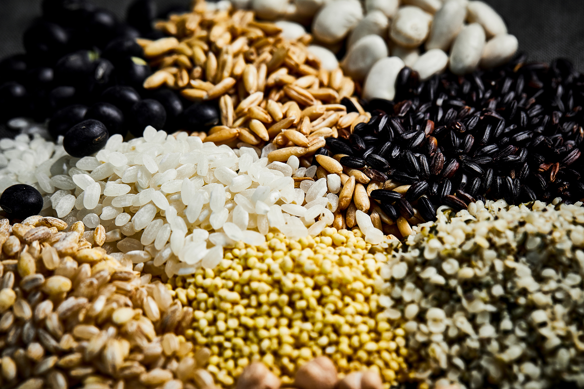 grain, raw, crop, organic, millet, hemp seed, rice, black rice, 