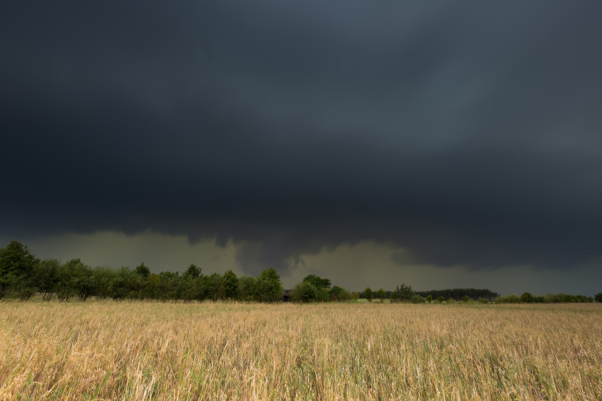 今天我参加论文答辩的题目是气候变化背景下我国玉米主产区增密增产潜力研究。需改上面句子使其更适合演讲使用