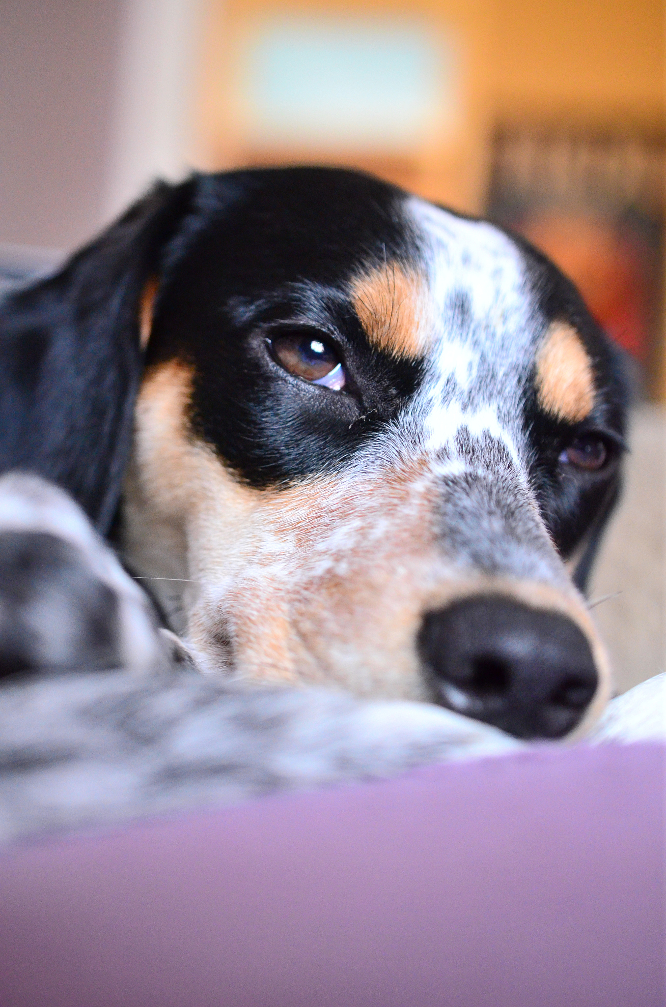 各区域同事好：我们现需向大家征集各区域6月节点的优秀案例其中包含手镯节、高考毕业季、儿童节、端午节等六月门店特色活动请简述活动主题时间、内容及效果并附图 帮我修改一下